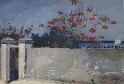 A Wall,Nassau (mk44) Winslow Homer